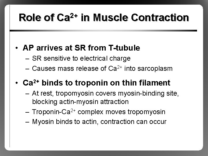 Role of Ca 2+ in Muscle Contraction • AP arrives at SR from T-tubule