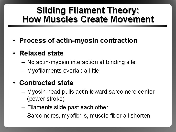 Sliding Filament Theory: How Muscles Create Movement • Process of actin-myosin contraction • Relaxed
