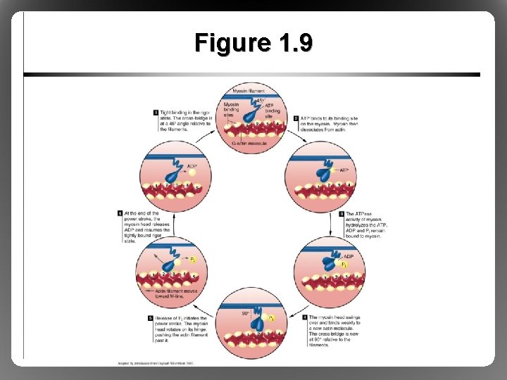 Figure 1. 9 