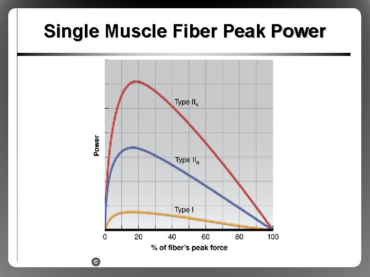 Single Muscle Fiber Peak Power 