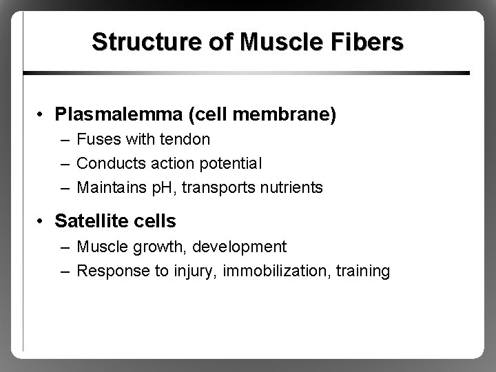 Structure of Muscle Fibers • Plasmalemma (cell membrane) – Fuses with tendon – Conducts