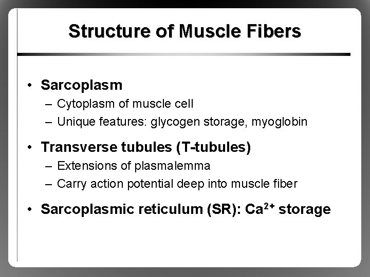 Structure of Muscle Fibers • Sarcoplasm – Cytoplasm of muscle cell – Unique features: