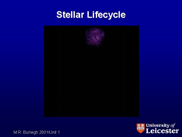 Stellar Lifecycle M. R. Burleigh 2601/Unit 1 