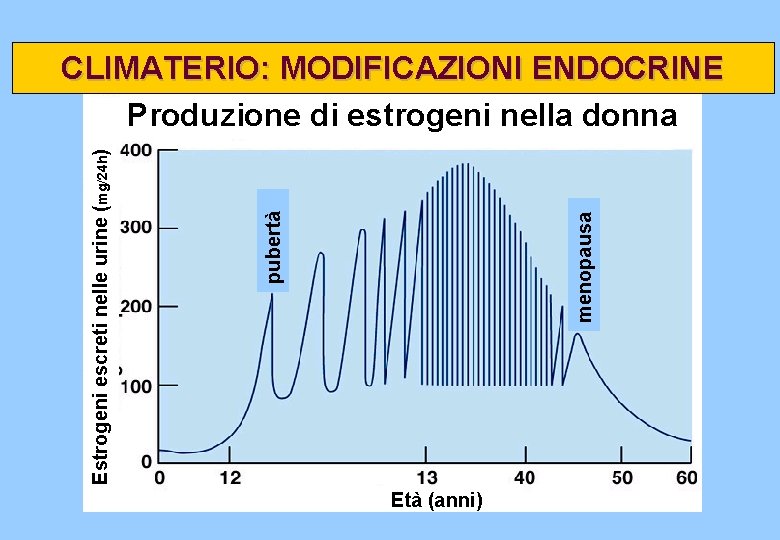 menopausa pubertà Estrogeni escreti nelle urine (mg/24 h) CLIMATERIO: MODIFICAZIONI ENDOCRINE Produzione di estrogeni