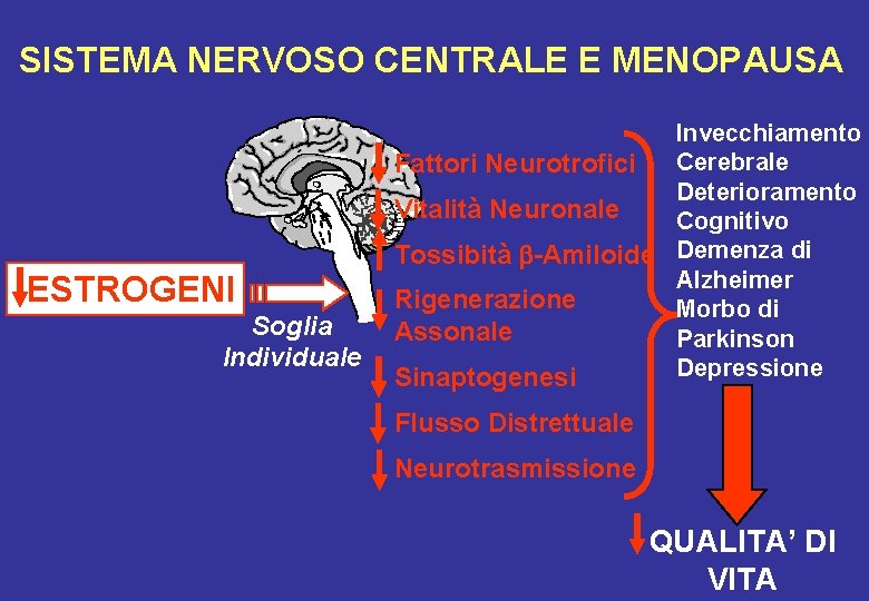 SISTEMA NERVOSO CENTRALE E MENOPAUSA ESTROGENI Soglia Individuale Invecchiamento Cerebrale Fattori Neurotrofici Deterioramento Vitalità