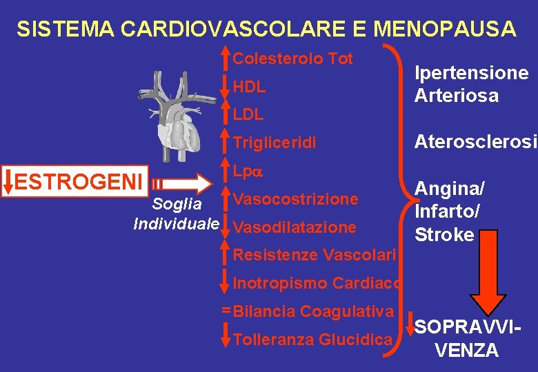 SISTEMA CARDIOVASCOLARE E MENOPAUSA Colesterolo Tot HDL LDL Trigliceridi ESTROGENI Lpa Vasocostrizione Soglia Individuale