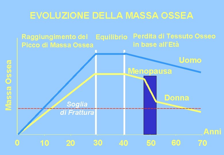 EVOLUZIONE DELLA MASSA OSSEA Raggiungimento del Equilibrio Perdita di Tessuto Osseo in base all’Età
