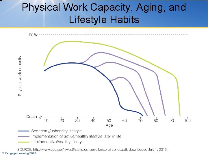 Physical Work Capacity, Aging, and Lifestyle Habits © Cengage Learning 2015 