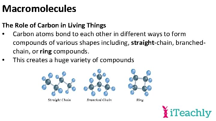 Macromolecules The Role of Carbon in Living Things • Carbon atoms bond to each