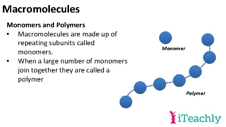 Macromolecules Monomers and Polymers • Macromolecules are made up of repeating subunits called monomers.