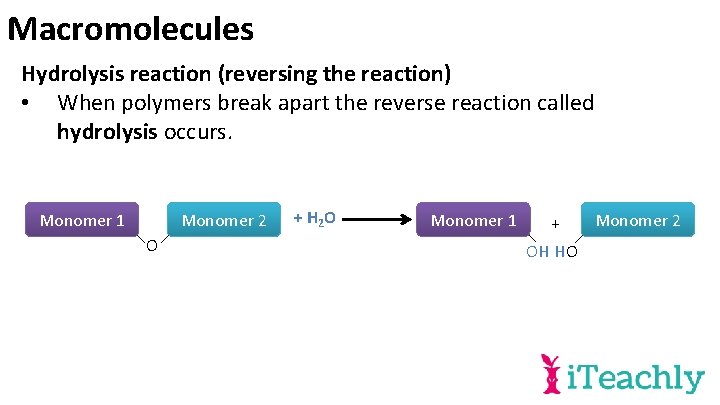 Macromolecules Hydrolysis reaction (reversing the reaction) • When polymers break apart the reverse reaction
