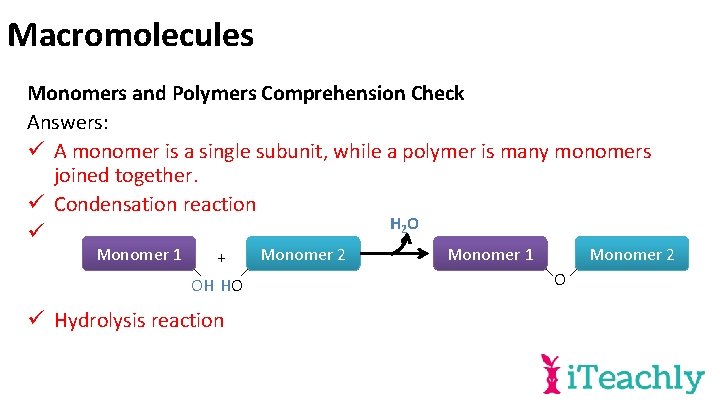 Macromolecules Monomers and Polymers Comprehension Check Answers: ü A monomer is a single subunit,