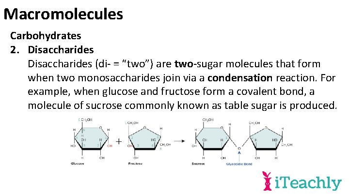 Macromolecules Carbohydrates 2. Disaccharides (di- = “two”) are two-sugar molecules that form when two