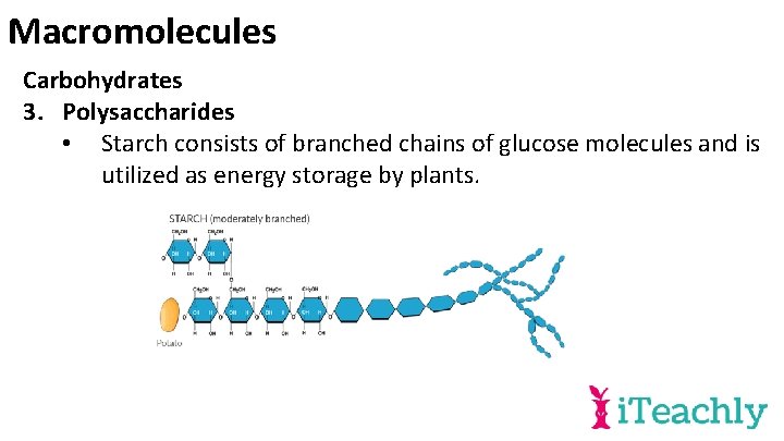 Macromolecules Carbohydrates 3. Polysaccharides • Starch consists of branched chains of glucose molecules and