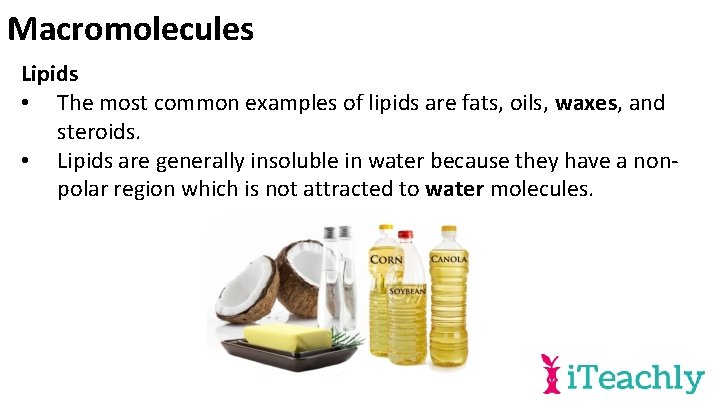 Macromolecules Lipids • The most common examples of lipids are fats, oils, waxes, and