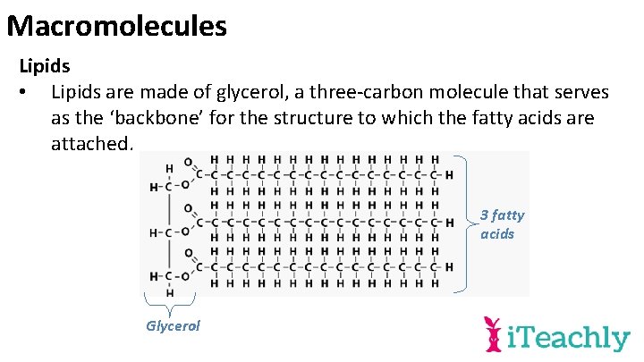 Macromolecules Lipids • Lipids are made of glycerol, a three-carbon molecule that serves as