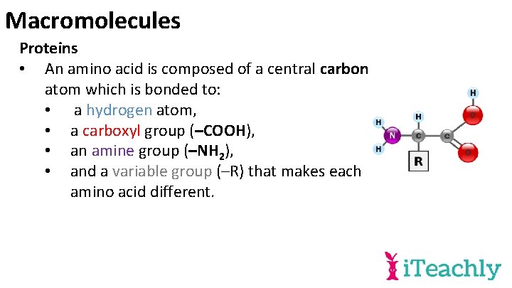 Macromolecules Proteins • An amino acid is composed of a central carbon atom which