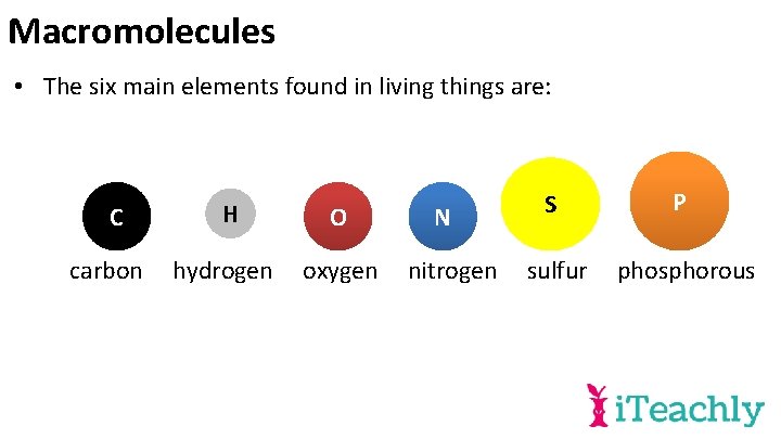 Macromolecules • The six main elements found in living things are: C carbon H