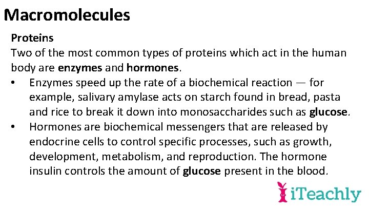 Macromolecules Proteins Two of the most common types of proteins which act in the
