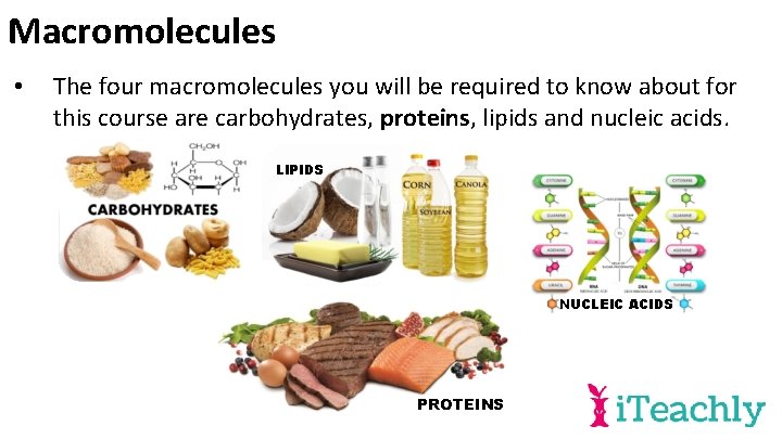 Macromolecules • The four macromolecules you will be required to know about for this