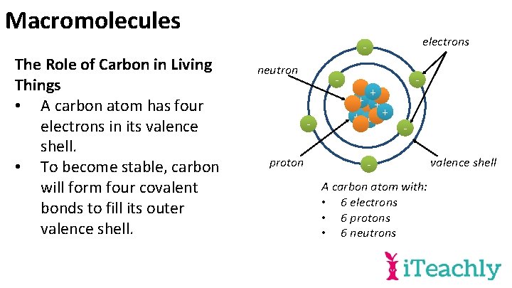 Macromolecules The Role of Carbon in Living Things • A carbon atom has four