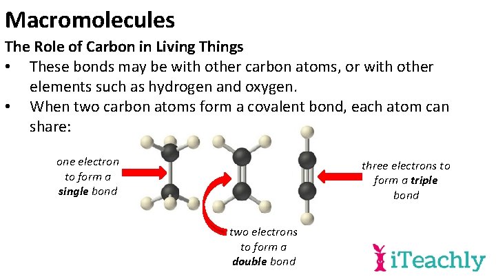 Macromolecules The Role of Carbon in Living Things • These bonds may be with