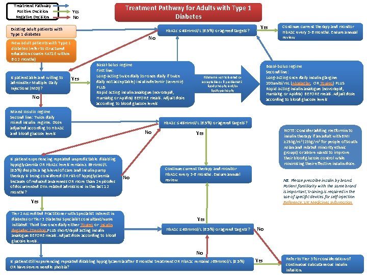 Treatment Pathway Positive Decision Negative Decision Treatment Pathway for Adults with Type 1 Diabetes