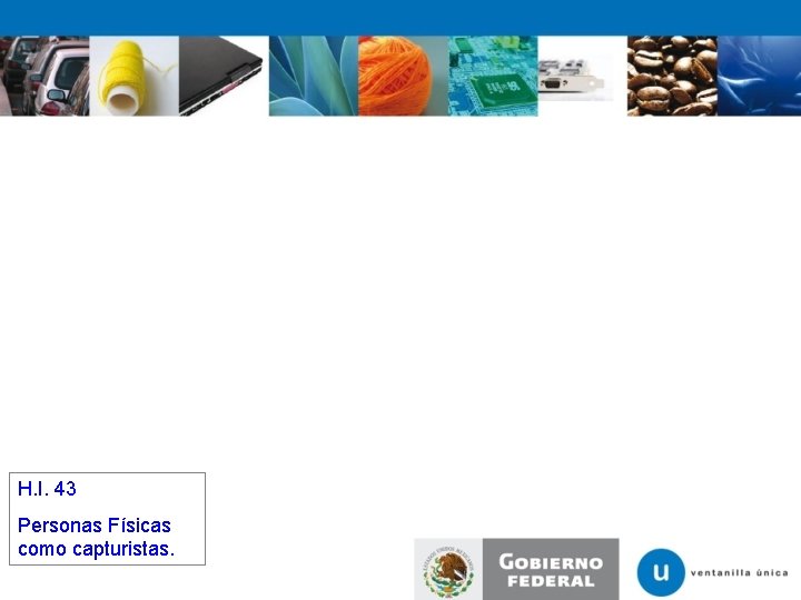 H. I. 43 Personas Físicas como capturistas. 