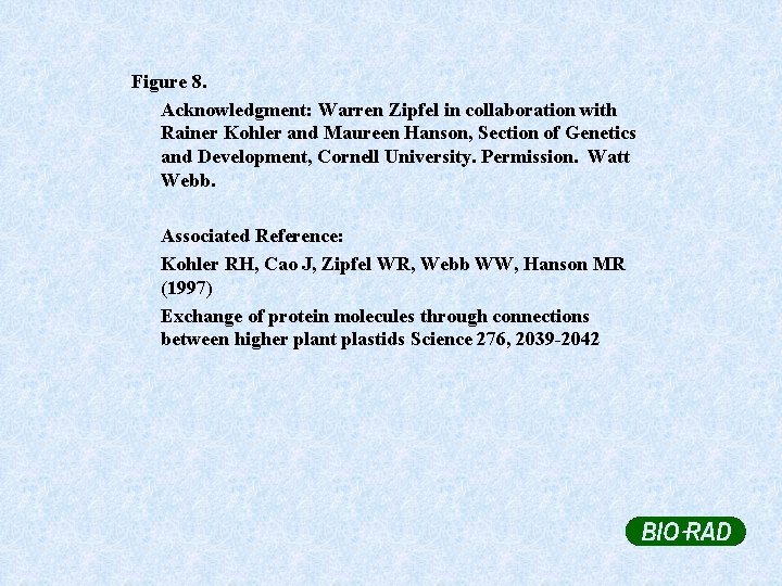 Figure 8. Acknowledgment: Warren Zipfel in collaboration with Rainer Kohler and Maureen Hanson, Section