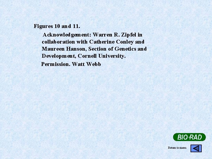 Figures 10 and 11. Acknowledgement: Warren R. Zipfel in collaboration with Catherine Conley and