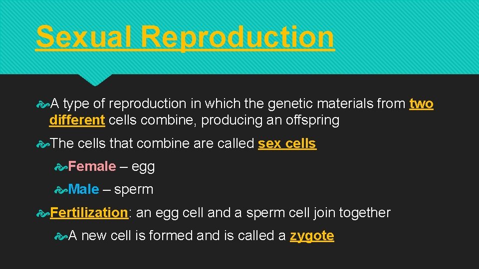 Sexual Reproduction A type of reproduction in which the genetic materials from two different