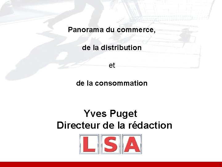 Panorama du commerce, de la distribution et de la consommation Yves Puget Directeur de