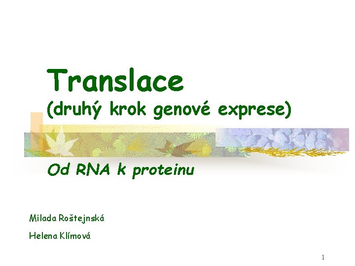 Translace (druhý krok genové exprese) Od RNA k proteinu Milada Roštejnská Helena Klímová 1 Translace (druhý krok genové exprese) Od RNA k proteinu Milada Roštejnská Helena Klímová 1