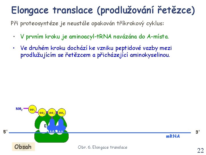 Elongace translace (prodlužování řetězce) Při proteosyntéze je neustále opakován tříkrokový cyklus: • V prvním Elongace translace (prodlužování řetězce) Při proteosyntéze je neustále opakován tříkrokový cyklus: • V prvním