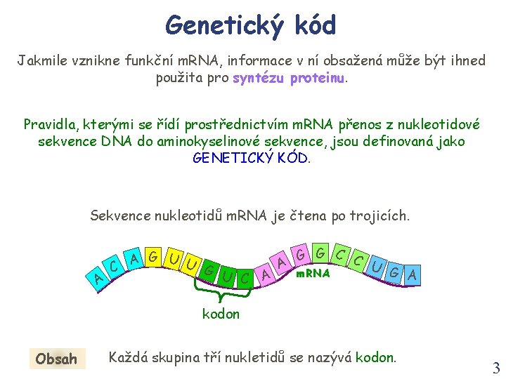 Genetický kód Jakmile vznikne funkční m. RNA, informace v ní obsažená může být ihned Genetický kód Jakmile vznikne funkční m. RNA, informace v ní obsažená může být ihned