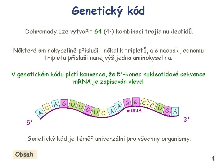 Genetický kód Dohromady Lze vytvořit 64 (43) kombinací trojic nukleotidů. Některé aminokyselině přísluší i Genetický kód Dohromady Lze vytvořit 64 (43) kombinací trojic nukleotidů. Některé aminokyselině přísluší i