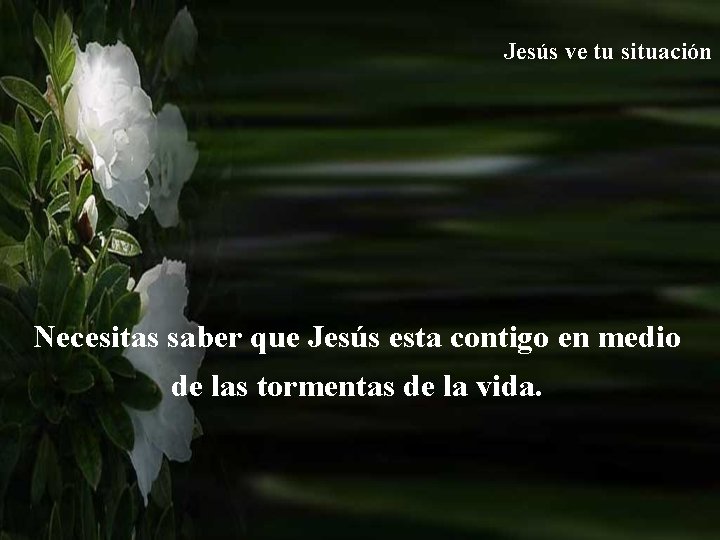 Jesús ve tu situación Necesitas saber que Jesús esta contigo en medio de las Jesús ve tu situación Necesitas saber que Jesús esta contigo en medio de las
