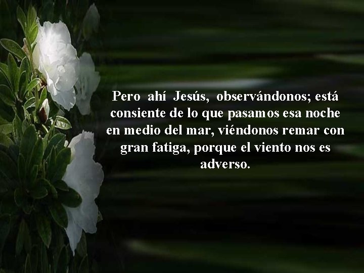 Pero ahí Jesús, observándonos; está consiente de lo que pasamos esa noche en medio Pero ahí Jesús, observándonos; está consiente de lo que pasamos esa noche en medio