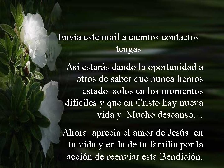 Envía este mail a cuantos contactos tengas Así estarás dando la oportunidad a otros Envía este mail a cuantos contactos tengas Así estarás dando la oportunidad a otros