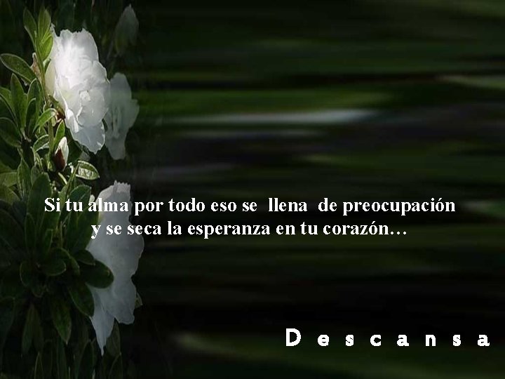 Si tu alma por todo eso se llena de preocupación y se seca la Si tu alma por todo eso se llena de preocupación y se seca la