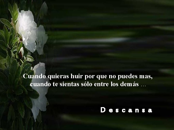 Cuando quieras huir por que no puedes mas, cuando te sientas sólo entre los Cuando quieras huir por que no puedes mas, cuando te sientas sólo entre los