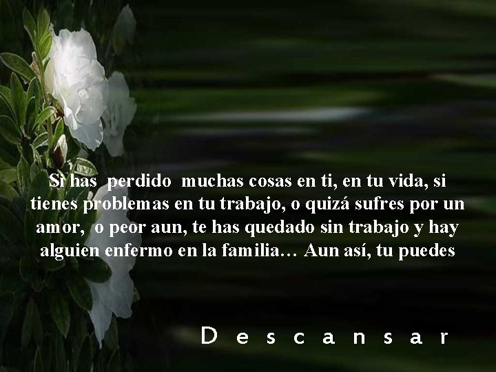 Si has perdido muchas cosas en ti, en tu vida, si tienes problemas en Si has perdido muchas cosas en ti, en tu vida, si tienes problemas en
