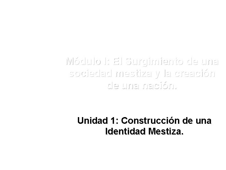 Módulo I: El Surgimiento de una sociedad mestiza y la creación de una nación.