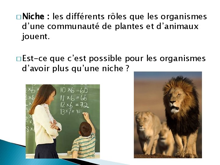 � Niche : les différents rôles que les organismes d’une communauté de plantes et