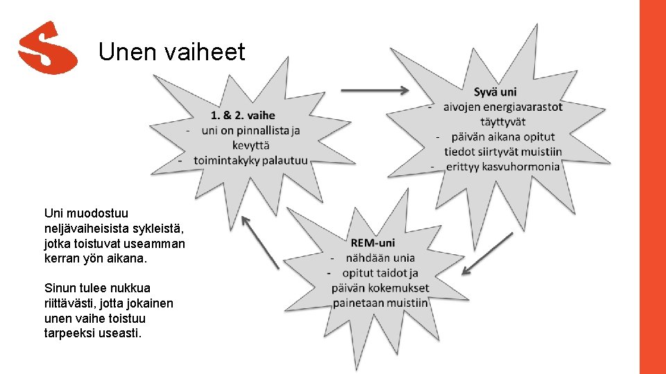 Unen vaiheet Uni muodostuu neljävaiheisista sykleistä, jotka toistuvat useamman kerran yön aikana. Sinun tulee