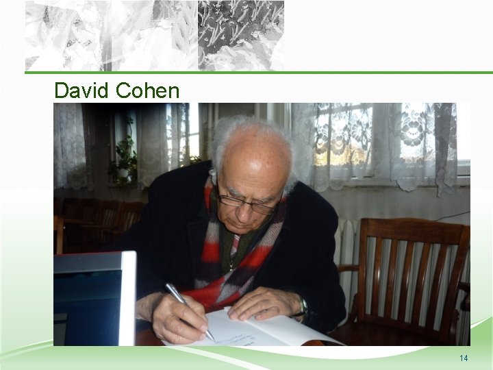 David Cohen 14 