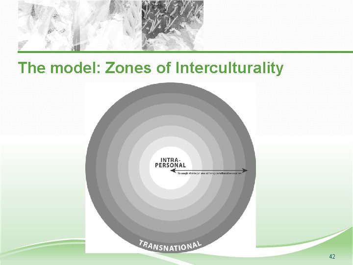 The model: Zones of Interculturality 42 