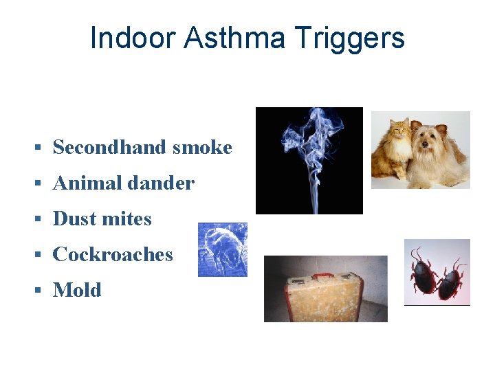 Indoor Asthma Triggers § Secondhand smoke § Animal dander § Dust mites § Cockroaches