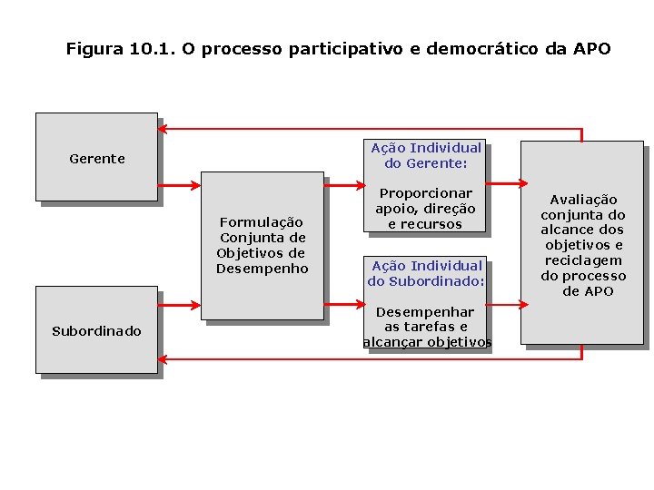Figura 10. 1. O processo participativo e democrático da APO Ação Individual do Gerente: