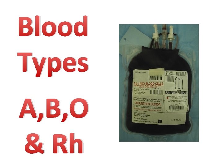 Blood Types A, B, O & Rh 
